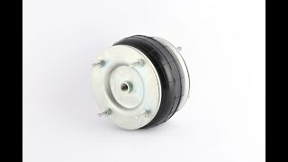 Firestone W01R584057 Luchtbalg 10x1 Vervangingshandleiding