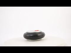 GUOMAT 1B6374 Luchtveervervanging voor Firestone W01M586374